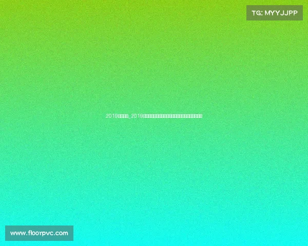 2019荷甲赛程_2019赛季荷兰足球乙级联赛赛事深度剖析与全面解析报告